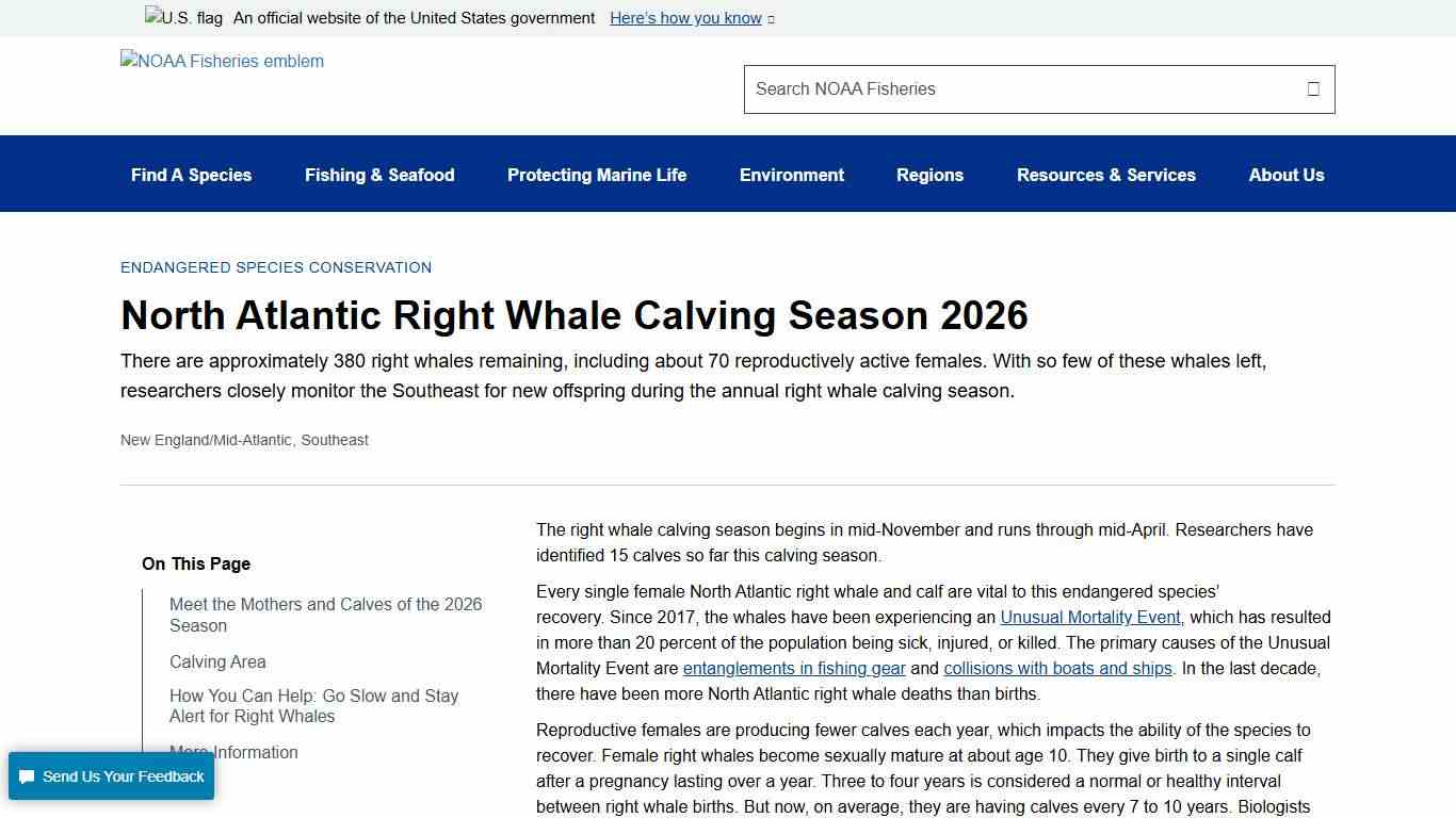 North Atlantic Right Whale Calving Season 2026 NOAA Fisheries